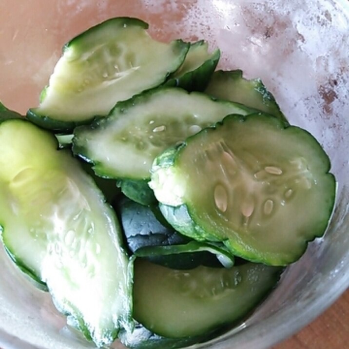 夏の定番!簡単楽チンきゅうりの漬け物